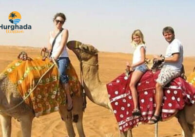 Camel Riding Hurghada 2 Hour Desert Ride with Red Sea View Morning or Afternoon