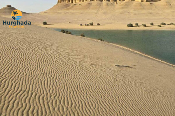 Fayoum 2 Days 1 Night Tour Oases Lakes Waterfalls and Ancient Sites from Cairo