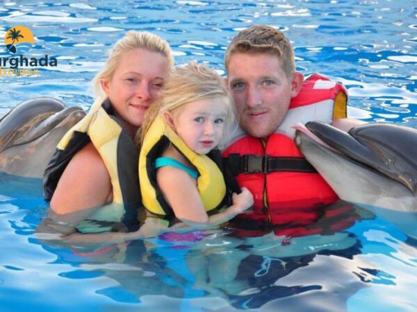 Dolphin Photo Session Hurghada Magical Shooting with Dolphins 10 Photos Included