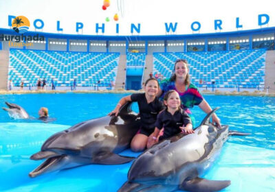 Swim with Dolphins Hurghada Pool Session with Expert Supervisors 5 Minutes with Dolphins
