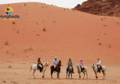 Horse Safari Hurghada Gallop Buffet Dinner and Oriental Show with Desert Ride