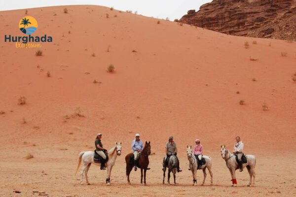 Horse Safari Hurghada Gallop Buffet Dinner and Oriental Show with Desert Ride