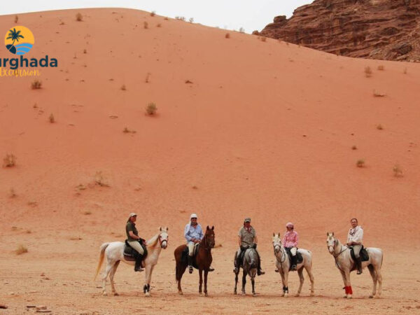 Horse Safari Hurghada Gallop Buffet Dinner and Oriental Show with Desert Ride