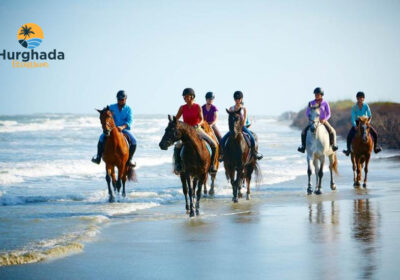 Horse Riding Hurghada 2 Hours Ride in Red Sea and Desert with Sunset Option