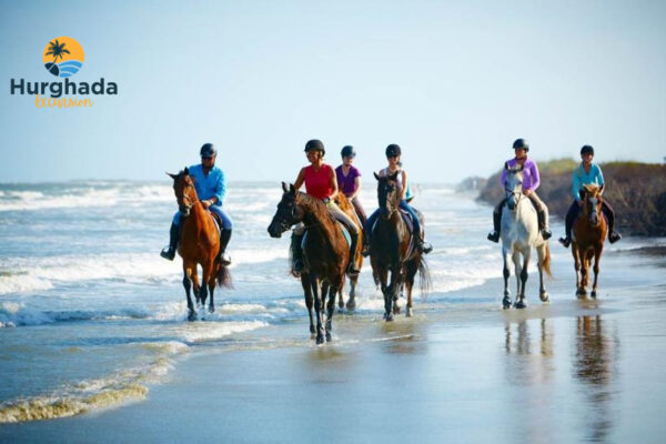 Horse Riding Hurghada 2 Hours Ride in Red Sea and Desert with Sunset Option