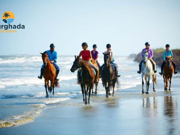Horse Riding Hurghada 2 Hours Ride in Red Sea and Desert with Sunset Option
