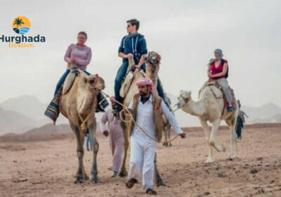 Mini Safari Complet Hurghada Quad Ride Bedouin Village Dinner and Show Afternoon Session