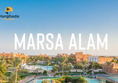 Marsa Alam Red Sea Turtle Snorkeling Day Trip from Hurghada with Beach Relaxation