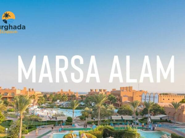 Marsa Alam Red Sea Turtle Snorkeling Day Trip from Hurghada with Beach Relaxation