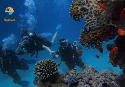 Scuba Diving Day Hurghada Beginners Certified Divers and Snorkeling Options