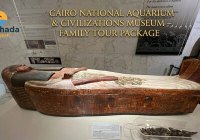 Cairo National Aquarium & Civilizations Museum – Family Tour Package