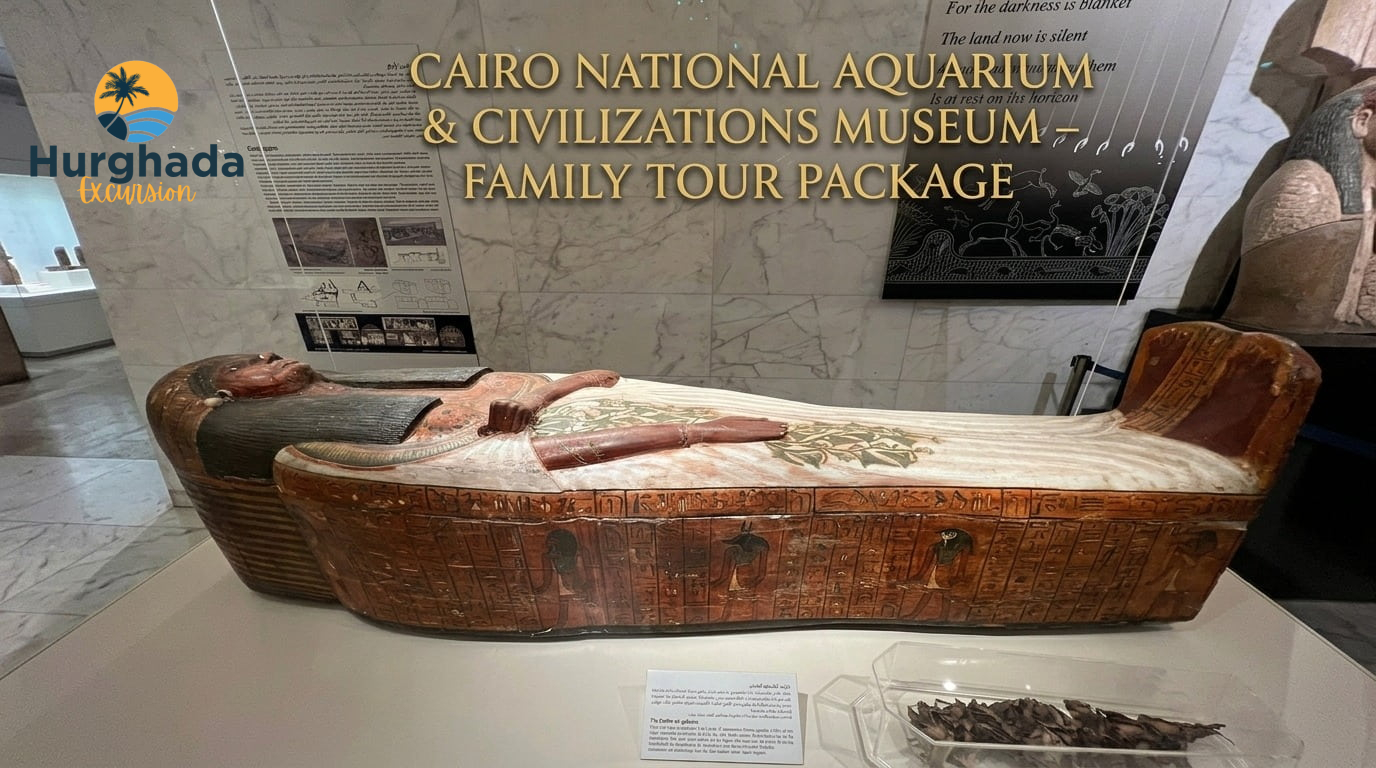 Cairo National Aquarium & Civilizations Museum – Family Tour Package