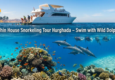 Dolphin House Snorkeling Tour Hurghada – Swim with Wild Dolphins