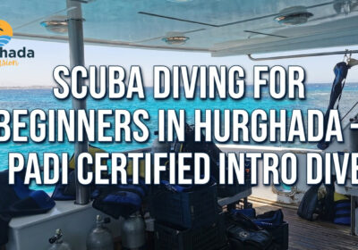 Scuba Diving for Beginners in Hurghada – PADI Certified Intro Dive