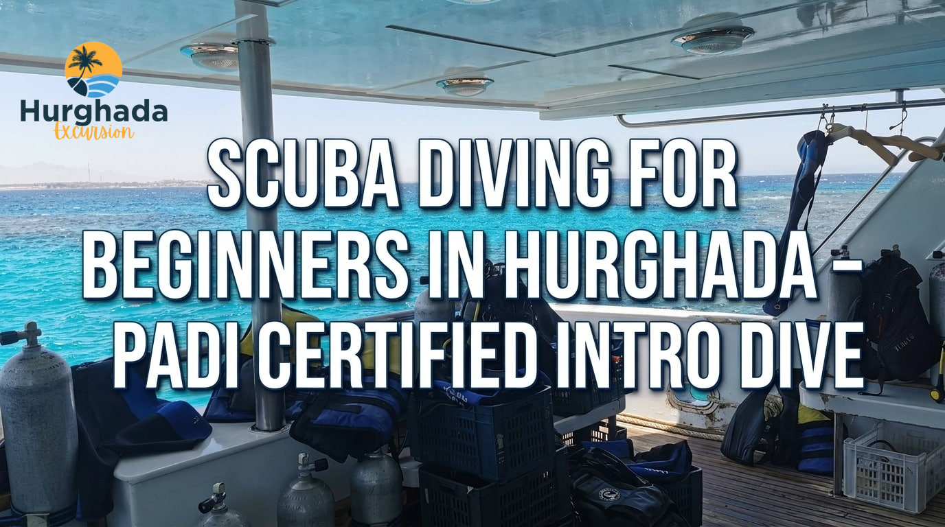 Scuba Diving for Beginners in Hurghada – PADI Certified Intro Dive
