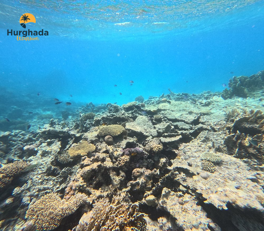 Scuba Diving for Beginners in Hurghada