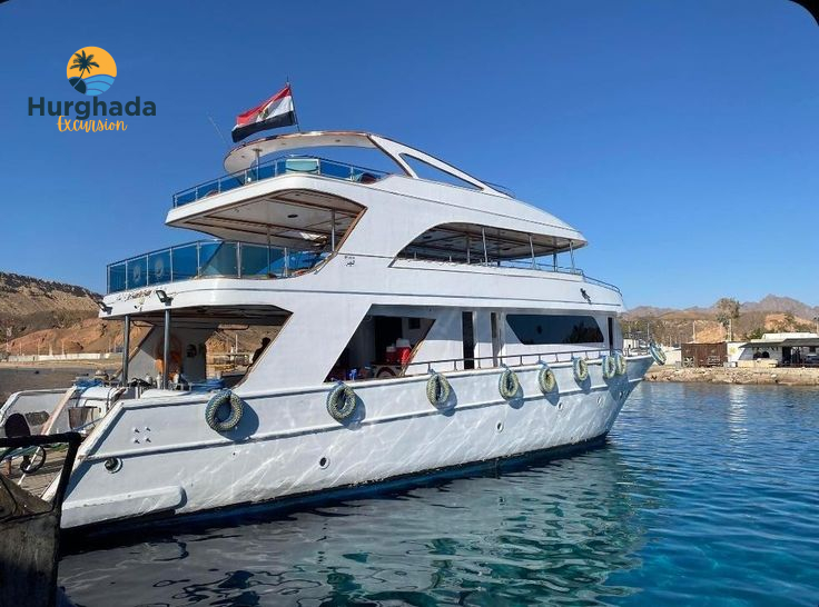 dolphin house shaab el erg snorkeling excursion