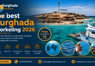 The best Hurghada Snorkeling 2026 Free cancellation