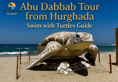 Abu Dabbab Tour from Hurghada Swim with Turtles Guide