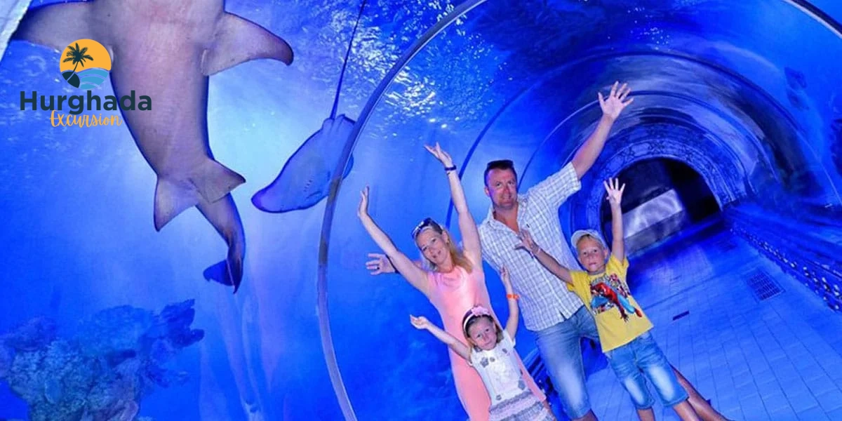 Glass Shark Tunnel Inside Hurghada Grand Aquarium
