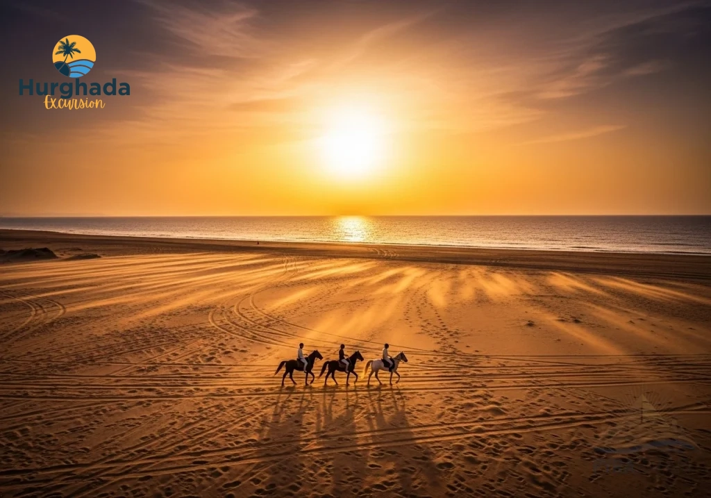 Horse Riding Along the Red Sea Shoreline at Golden Sunset