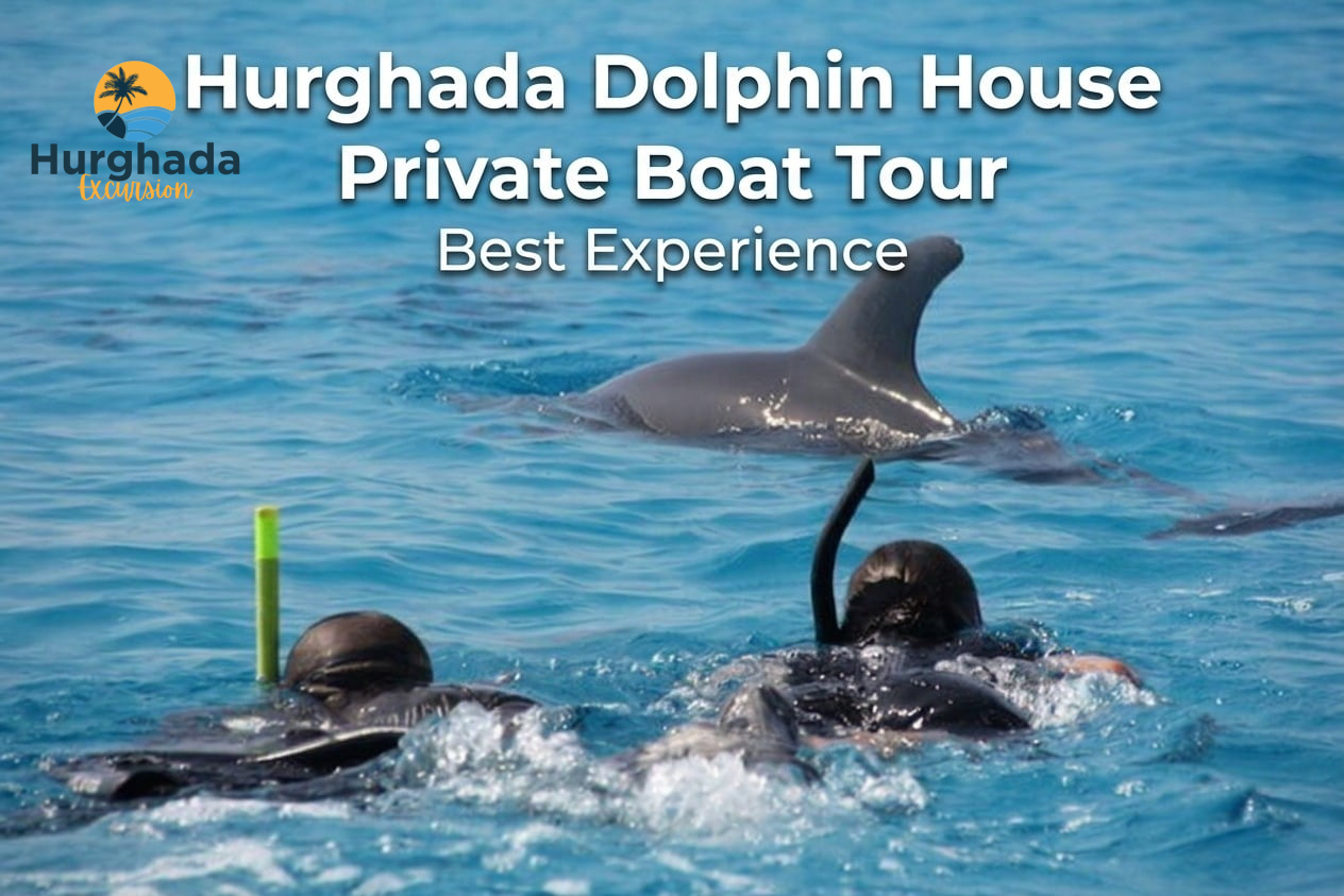 Hurghada Dolphin House Private Boat Tour Best Experience