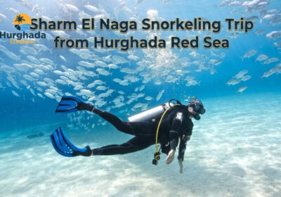 Sharm El Naga Snorkeling Trip from Hurghada Red Sea