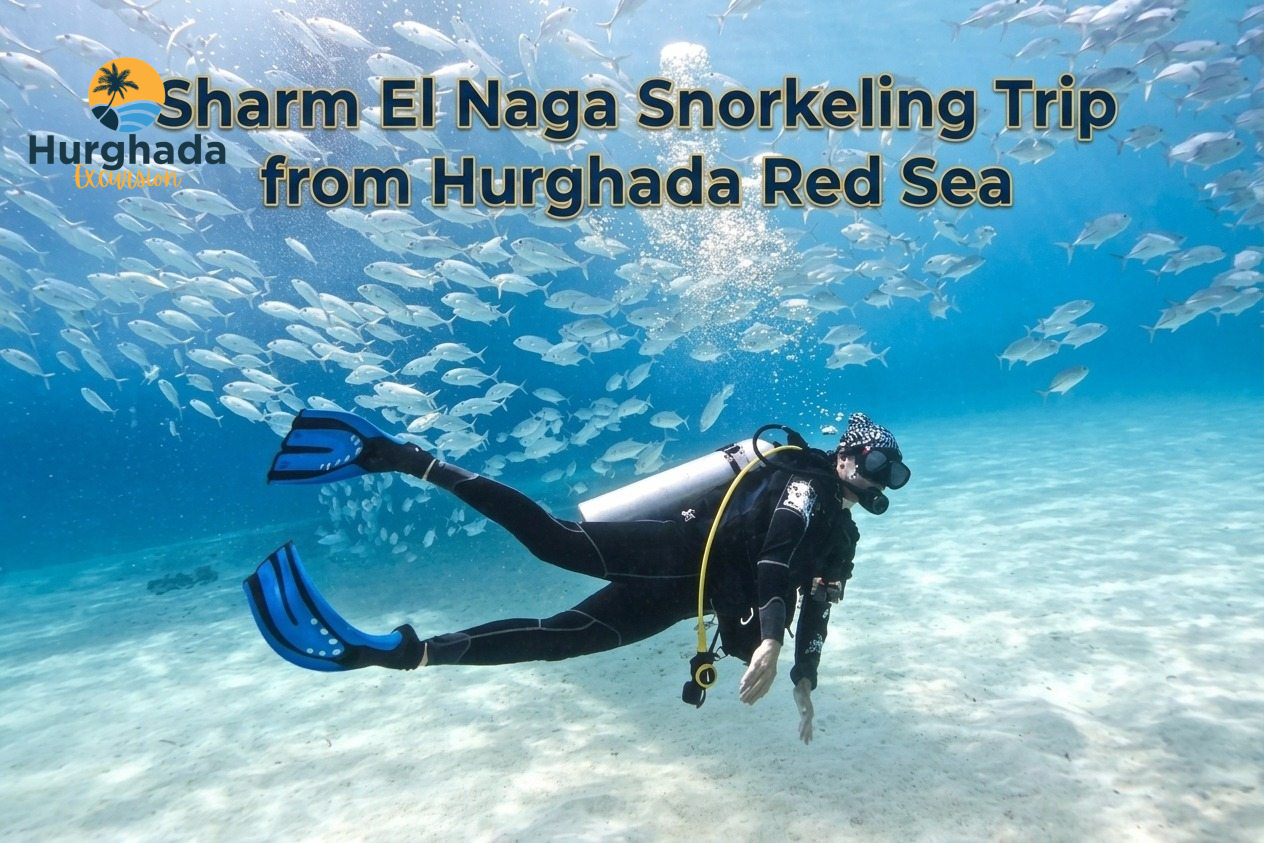 Sharm El Naga Snorkeling Trip from Hurghada Red Sea